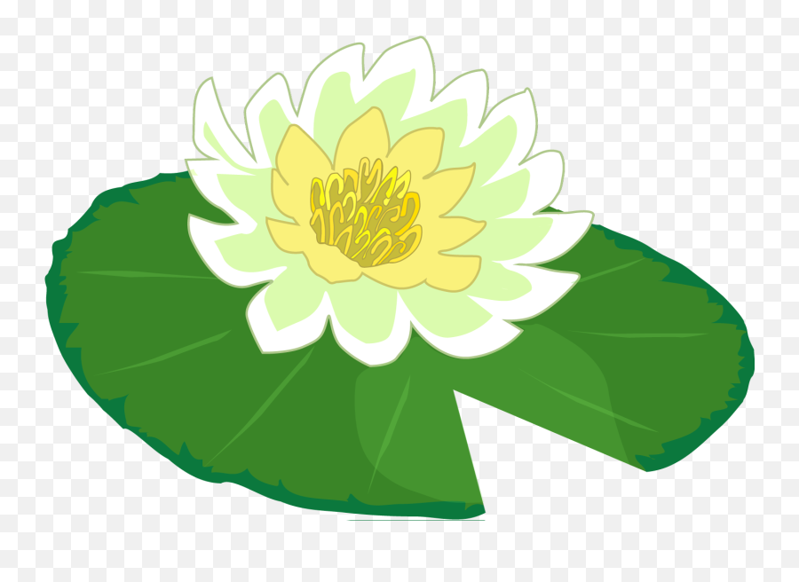 White Flower Water Lily Clipart The Cliparts Png - Clipartix Clip Art Lilly Pad Emoji,Lily Flower Emoji
