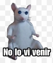 Cara De Shrek Meme Png Emoji,Shrek Donkey Emoticon