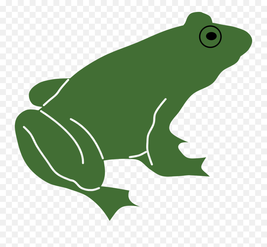 90 Free Toad U0026 Frog Illustrations - Pixabay Vector Frog Png Emoji,Green Frog Emoji