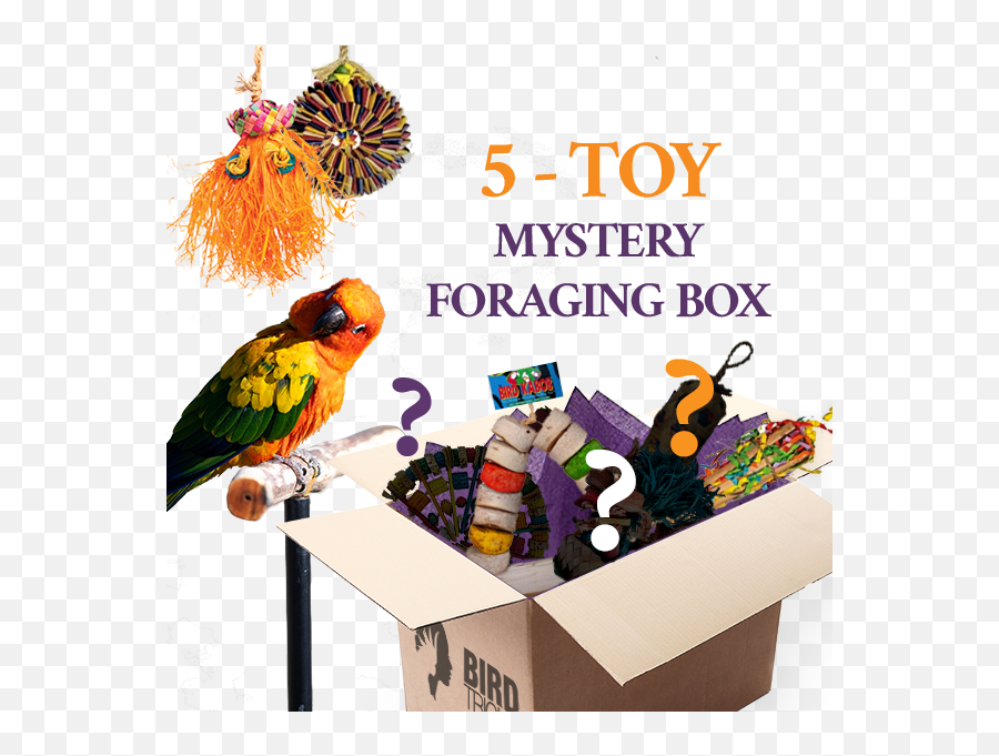 Foraging Toy Box Bundle Of 5 - Bird Foraging Toy Emoji,Parrot Emoticon