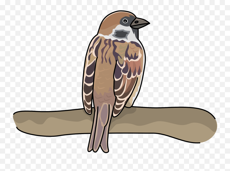 Sparrow Bird Clipart - Bird Clip Art Emoji,Sparrow Emoji