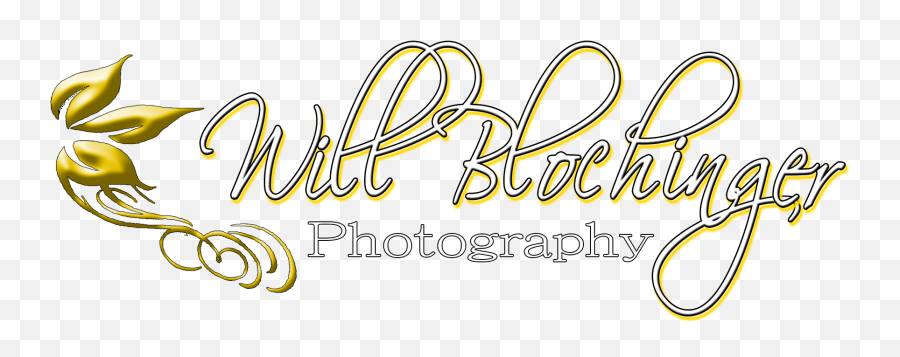 Will Blochinger Photography Wedding Photographers - The Knot Decorative Emoji,Scrambled Emotions