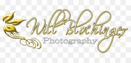 Will Blochinger Photography Wedding Photographers - The Knot Decorative Emoji,Scrambled Emotions