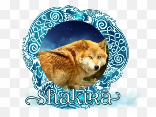 News Archives Wolfspirits - Golden Brown Brown Wolves Emoji,Panther Animal Emotion