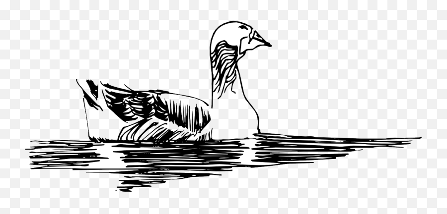 Httpswwwpicpngcomwhite - Birdduckwingslandingpng Emoji,Goose Geese Emoticons