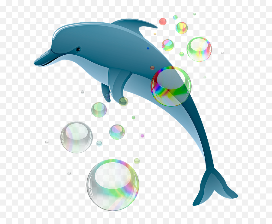Free Photo Sea Dolphin Mermaid Water - Transparent Background Dolphin Cartoon Png Transparent Emoji,Dolphin Emotions