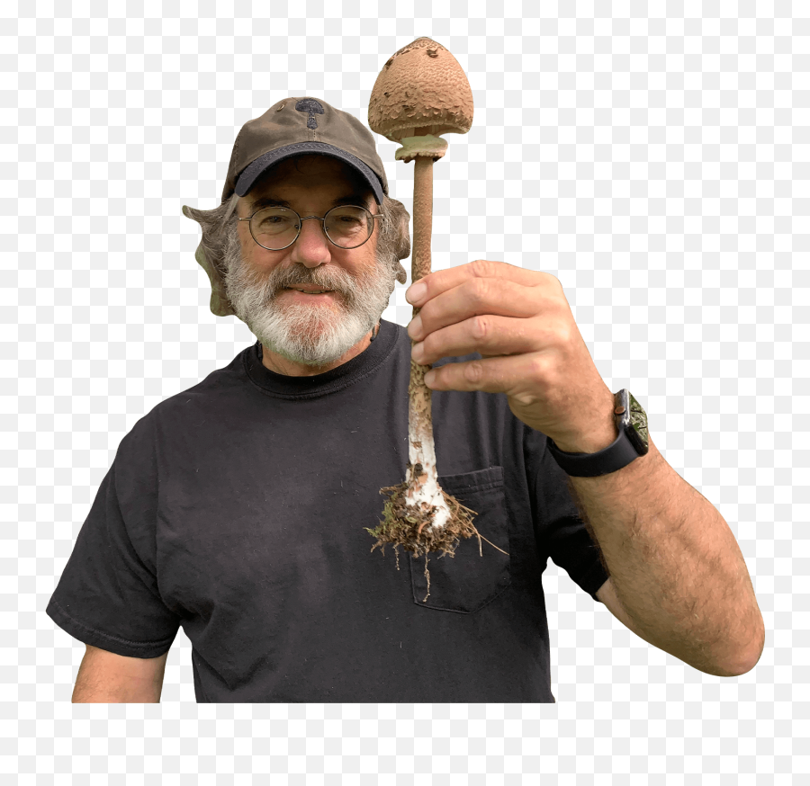 Paul Stamets Semaine Emoji,Mushroom Emoji On Instagram