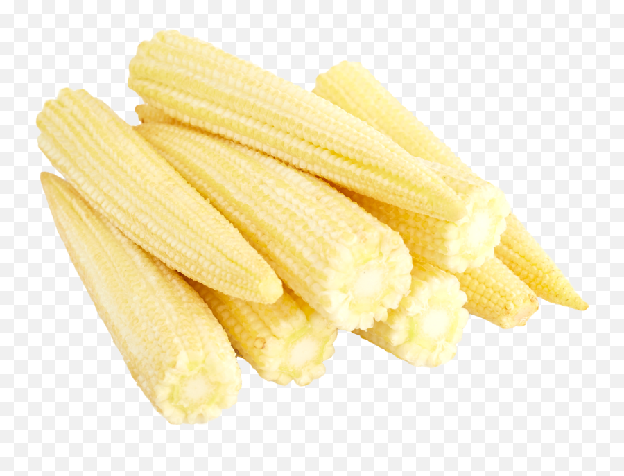 Corn Clipart Baby Corn Corn Baby Corn - Baby Corn Hd Picture Download Emoji,Corn Cob Emoji