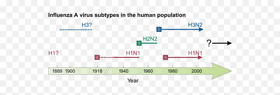 How Science Works U2013 Gilestro Laboratory - Influenza A Virus Subtypes In The Human Population Emoji,Simbolo Della Pace Emoticon