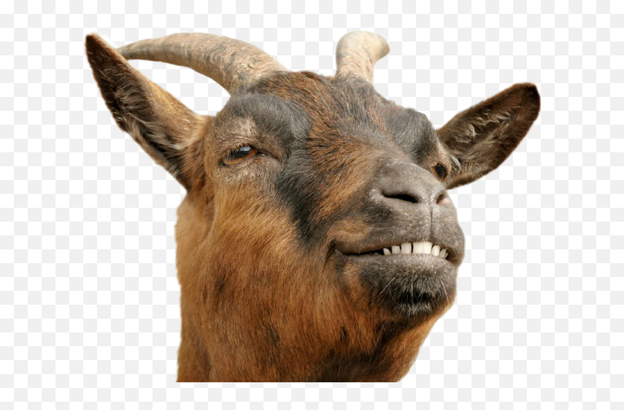 Goat Sticker By Christian Pk Gonzalez - Goat Smiling Emoji,Goat Emoji Png