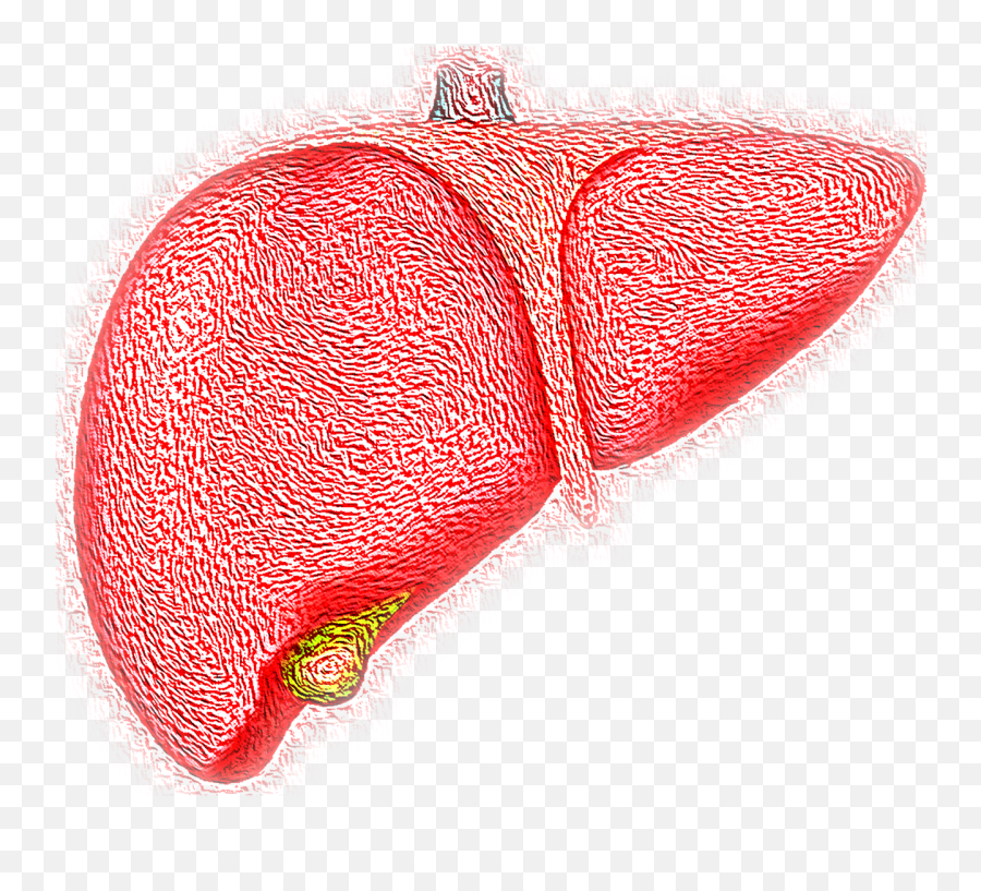 12 Causes Of Fatty Liver Disease - Damaged Liver Emoji,Gola Emotions-2