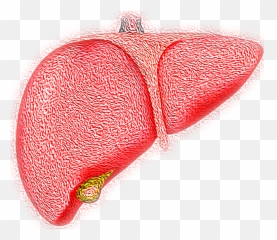 12 Causes Of Fatty Liver Disease - Damaged Liver Emoji,Gola Emotions-2
