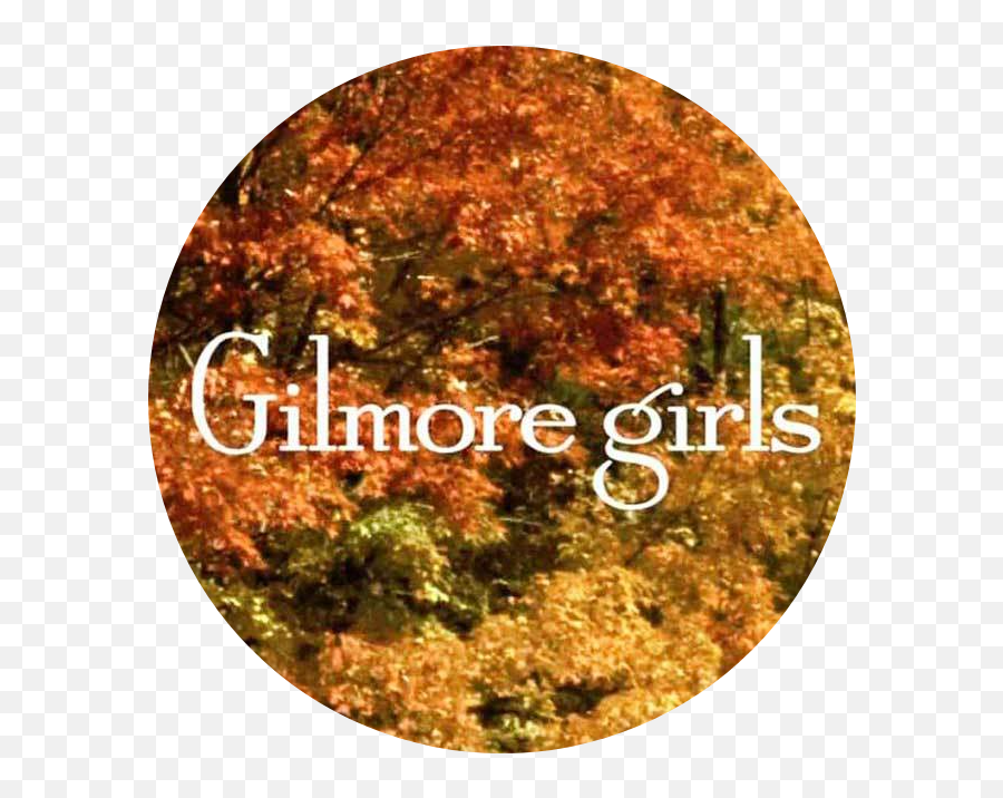 Do Other People Feel Sorry For Lindsay Gilmoregirls - Gilmore Girls Emoji,Logan Paul Jealous Of Emotions