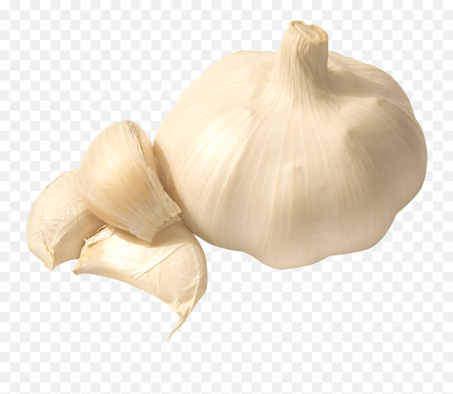 Garlic Food - Clove Of Garlic Png Emoji,Garlic Emoji