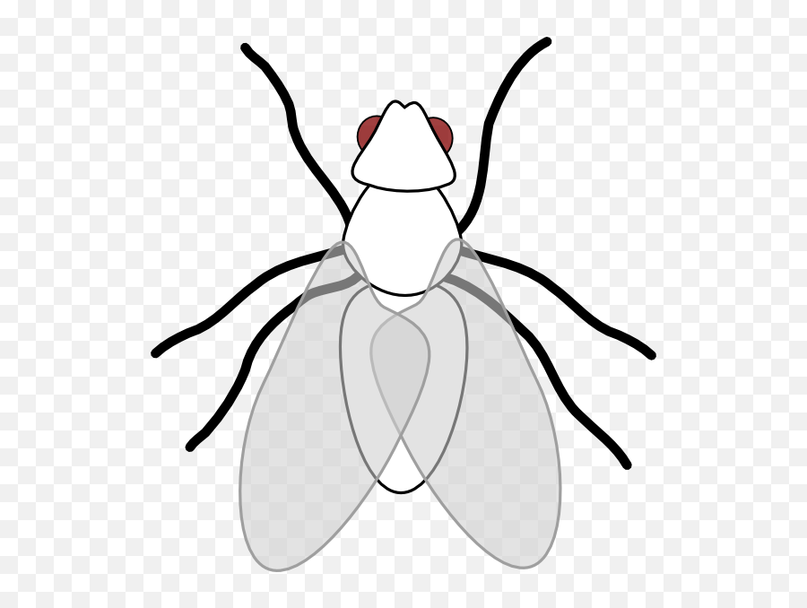 Clipart Panda - Clip Art Fly Emoji,Housefly Emoticon