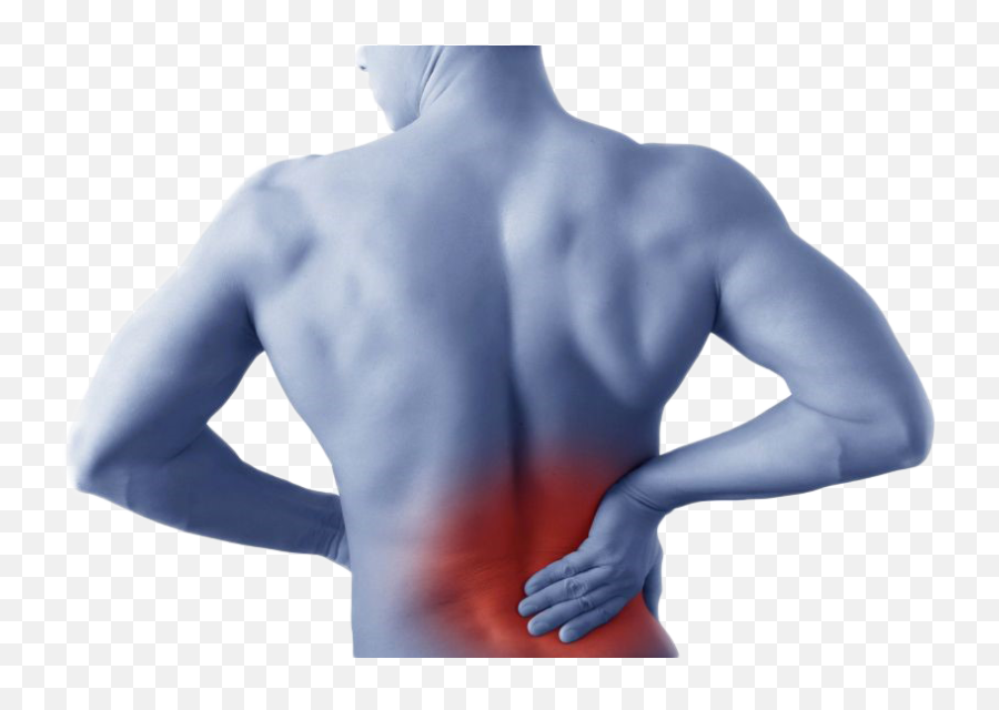 Чуть ниже спины. Болит спина. Мышечная боль. Локализация боли в спине.