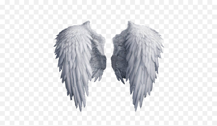 Know Your Angels - Know About Your Guardian Angel U2013 Apps On Angel Wings Png Emoji,Emotions Physical Guardian Angel