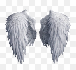Know Your Angels - Know About Your Guardian Angel U2013 Apps On Angel Wings Png Emoji,Emotions Physical Guardian Angel