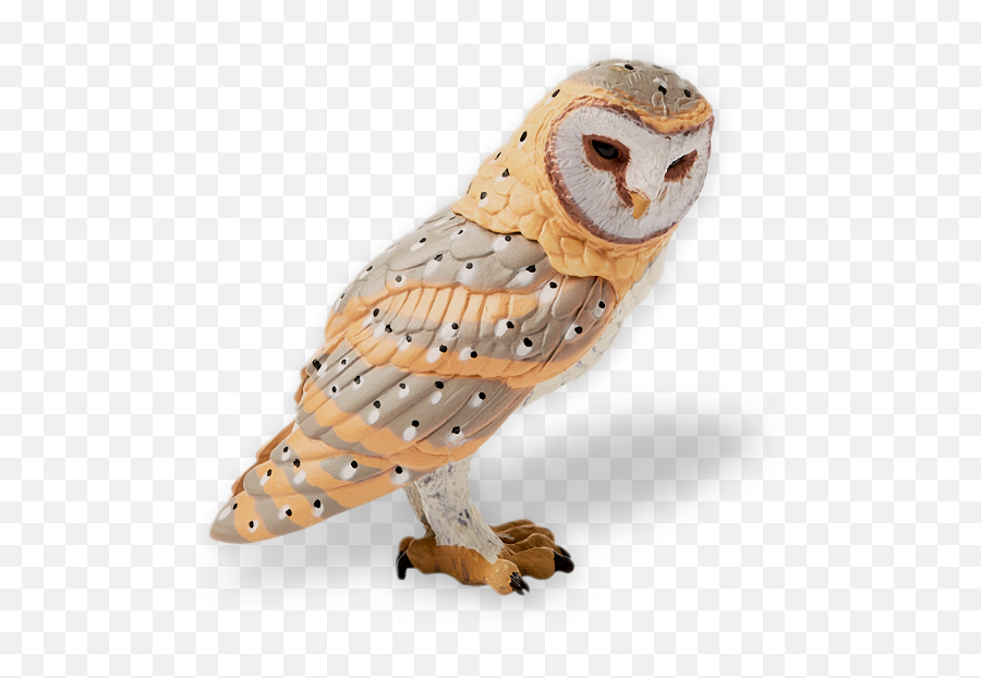 Meet The Team - Barn Owl Emoji,Arranger For I Second That Emotion