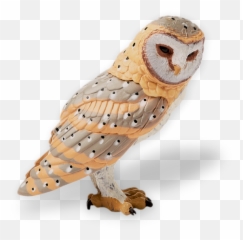 Meet The Team - Barn Owl Emoji,Arranger For I Second That Emotion