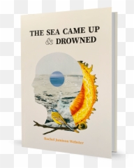 Rachel Jamison Webster Emoji,Drowned In Emotions
