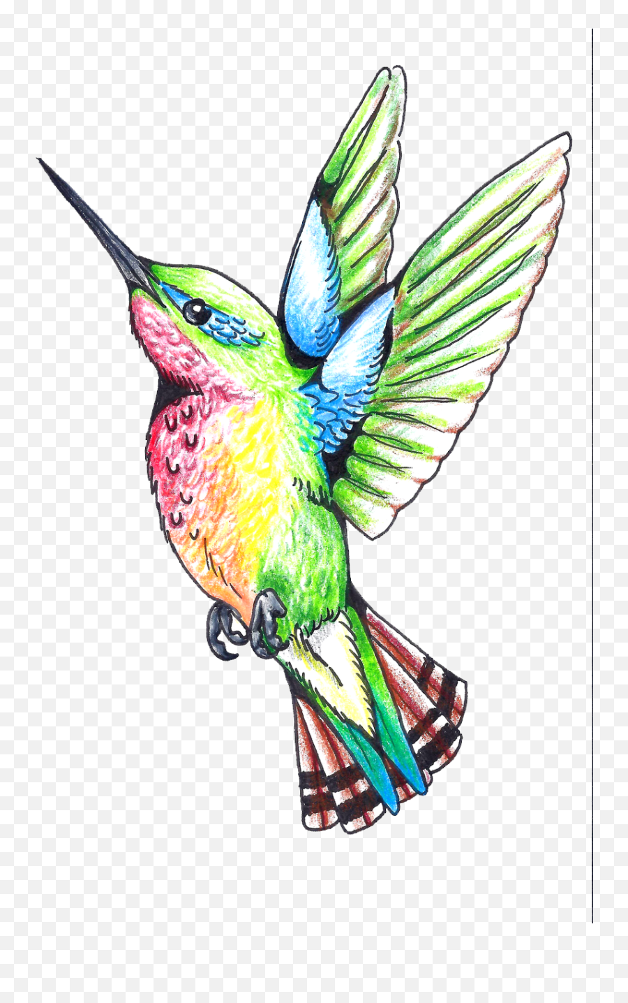 Hummingbird Tattoos Png Clipart - Hummingbird Classic Tattoo Design Emoji,Iphone Orioles Emojis