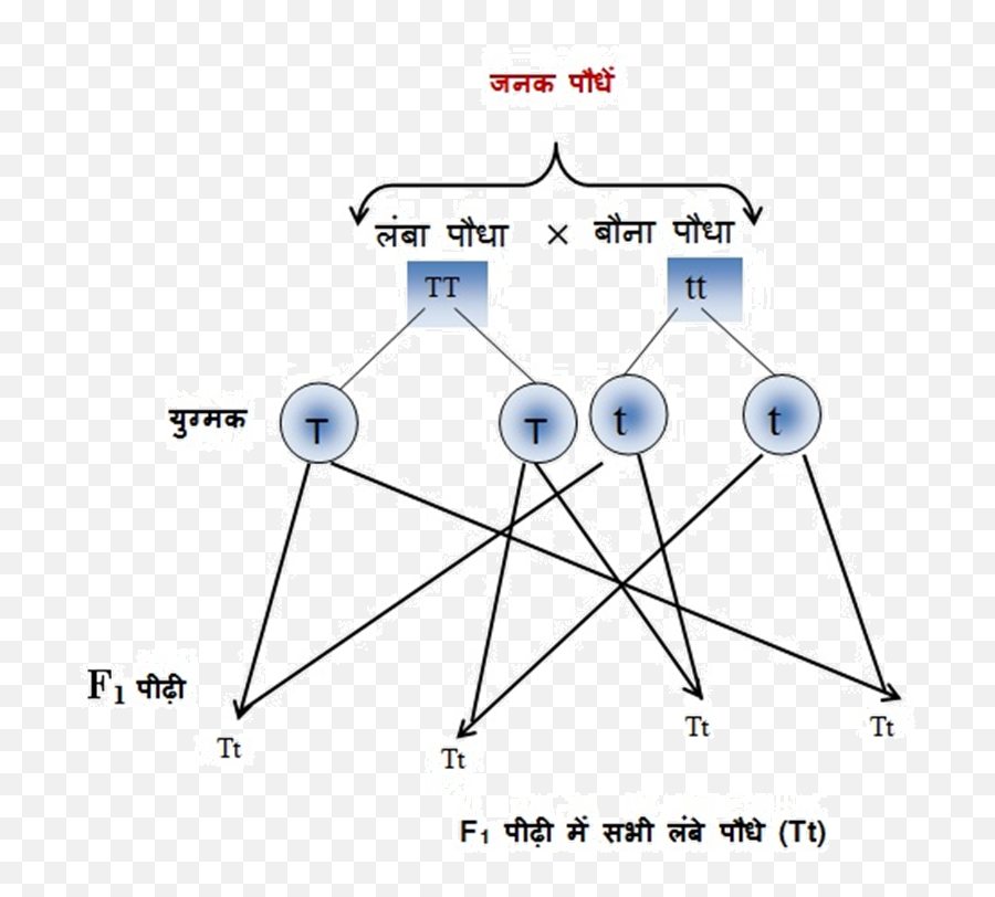 Emoji,Do Pal Tujhse Juda Tha With Emojis