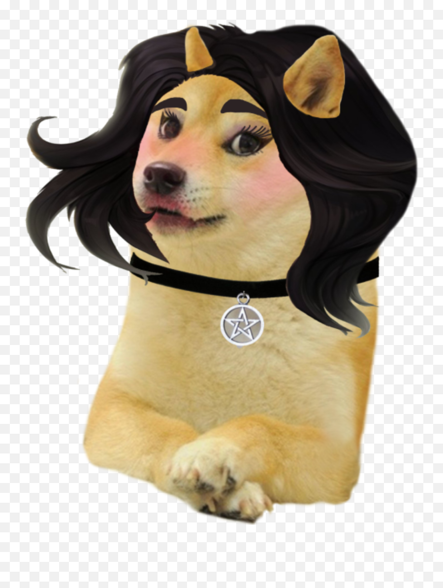 Doomer Girl Doge - Dont Wish To Be Horny Anymore Emoji,Doge Emoji