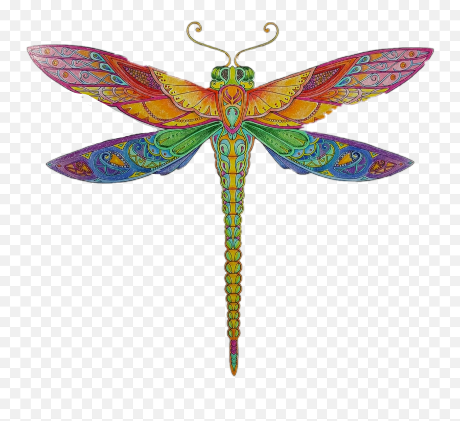 Dragonfly Sticker - Decorative Emoji,Sbn Emojis