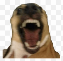Neném Coreana - Ugly Emoji,Emoticons Mostrando Dedo Do Meio