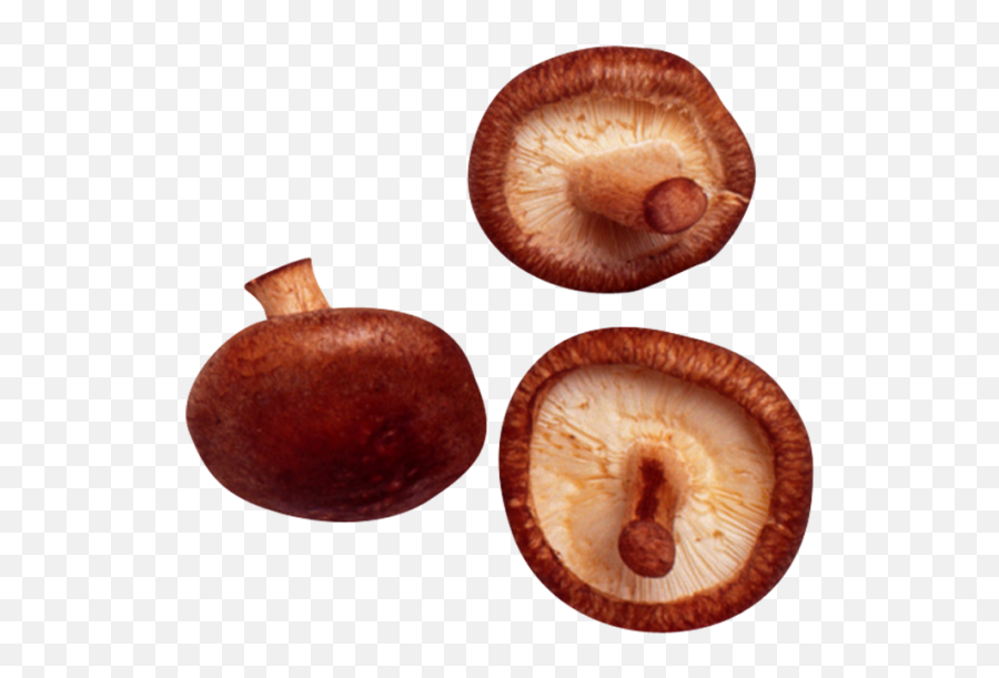 Mushrooms Transparent Png Image Emoji,Mushrooms Emoji