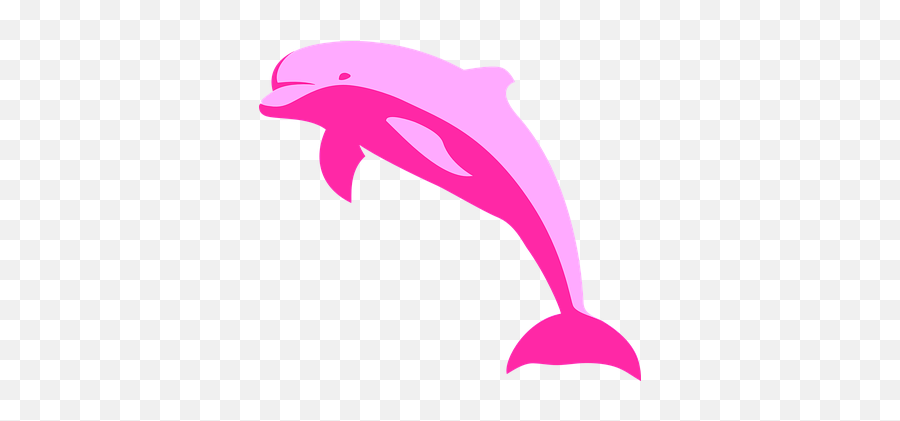 Free Dolphin Mammal Vectors - Pink Dolphin Clipart Emoji,Dolphin Emoji