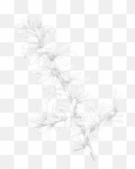 Herbal Essences - Still Life Photography Emoji,You're Basically A Houseplant With More Complicated Emotions
