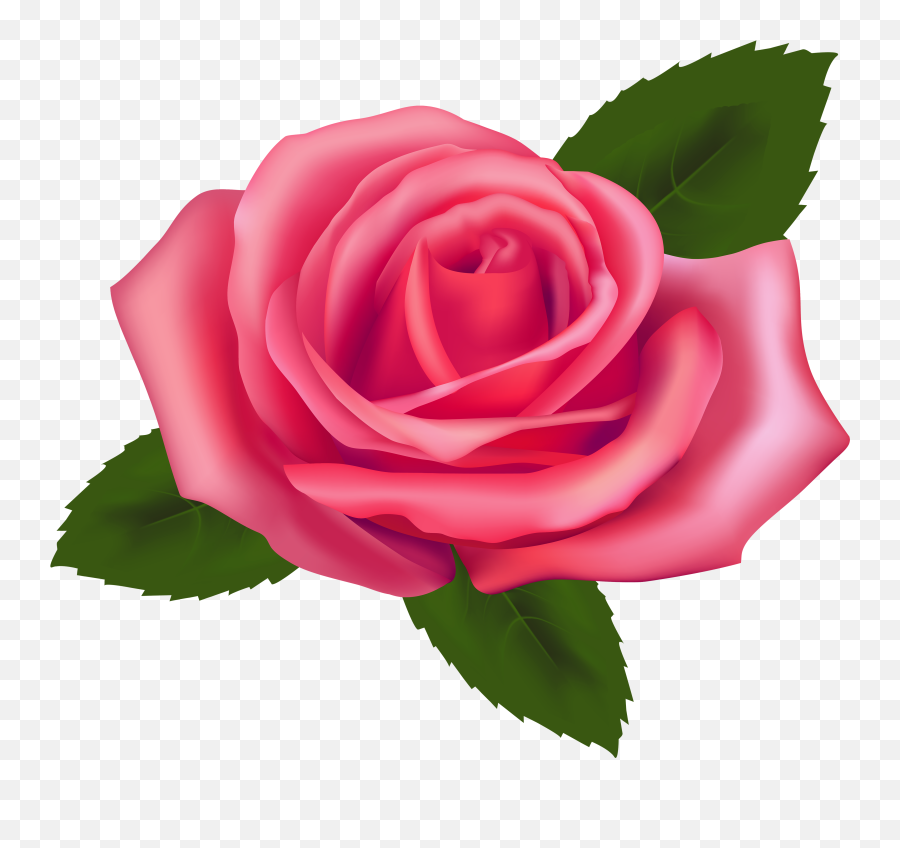 4 Red Rose Emoji Meaning - Pink Rose Clip Art,Pink Flower Emoji