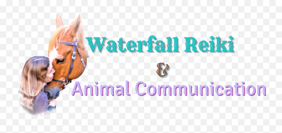 Simply Sharing Reiki With The Animals - Horse Supplies Emoji,Emotions Animals Communicate