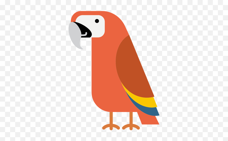 Macaw Parrot Bird Illustration - Transparent Png U0026 Svg Parrots Emoji,Parrot Emoji