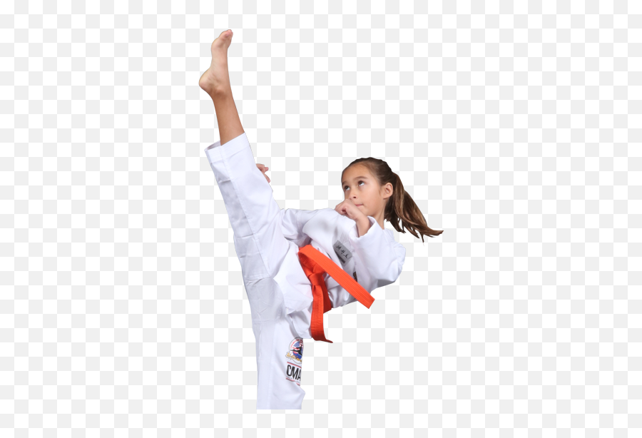 Best Martial Arts School In Harlem New York - Little Tigers Emoji,Karate Kick Girl Emoticon
