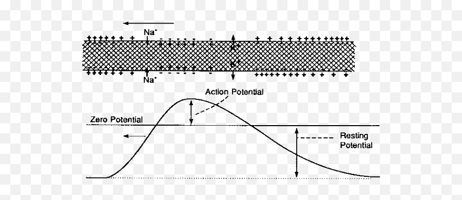 Chapter 9 Epistemology Emoji,Emergence-synthesis Emotion Ledouox