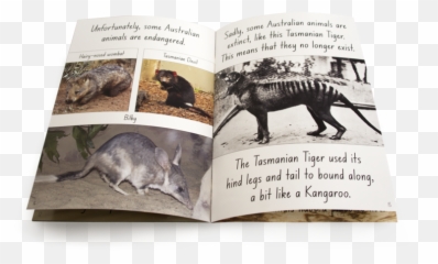 Letu0027s Learn About Australian Animals Big Book Emoji,Books With Animals And Emotions