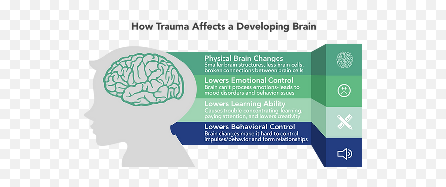 Hit Reset - Trauma Affects The Brain Emoji,Decade Violent Emotion