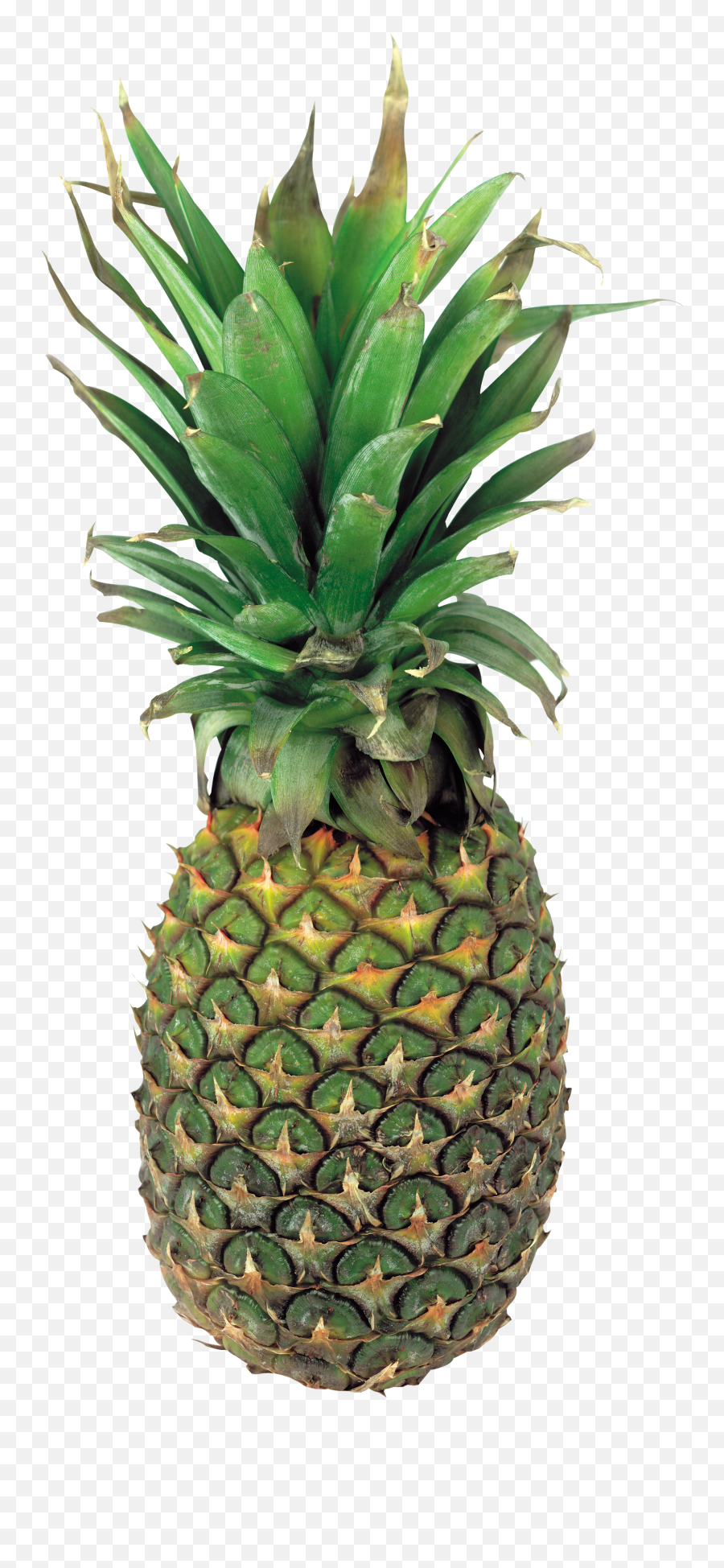 Pinapple Slices - Pinaple Png Emoji,Pineapple Emoji Hat