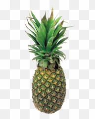 Pinapple Slices - Pinaple Png Emoji,Pineapple Emoji Hat