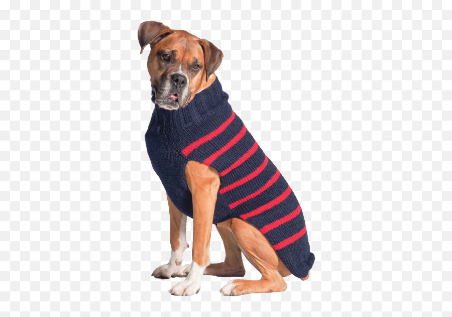 Chilly Dog Sweaters - Handknit Pet Products Dog Sweater Emoji,Weiner Dog Emoticons