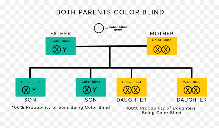 Can Women Be Color Blind - Color Blindness Inheritance Emoji,Colors And Emotions They Represent For Kids