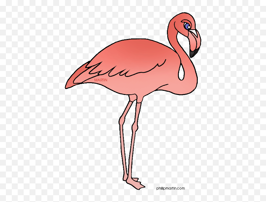 Sunglasses Clipart Flamingo Sunglasses - Greater Flamingo Emoji,Flamingo Emoji