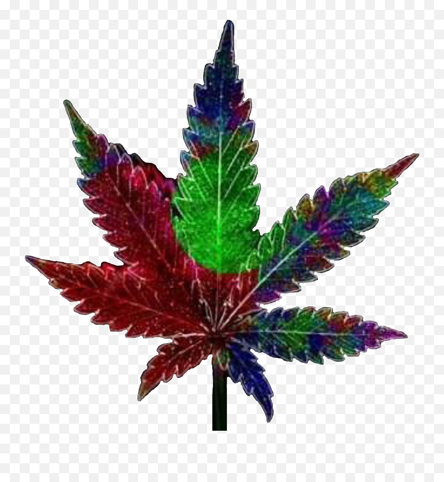 The Most Edited Weed Picsart - Cannabis Sativa Emoji,Emojis Drogados
