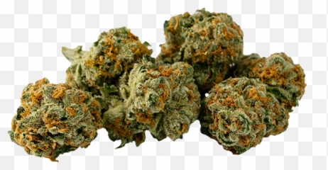 Cannabis Strains For Your Next Date Night - Citral Flo Weed Strain Emoji,Weed Emoticon Reggae Transparent