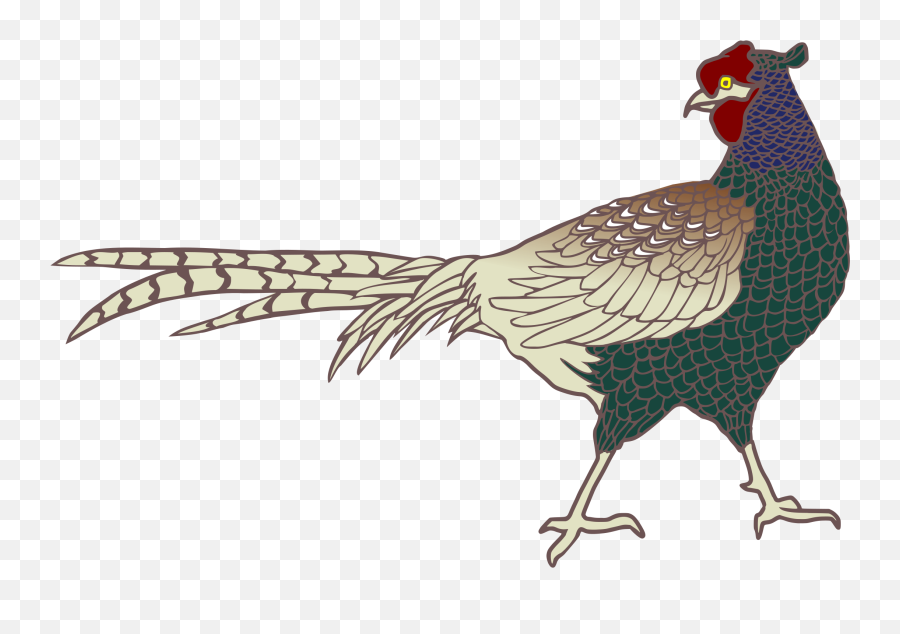 Pheasant In Japan Clipart Free Image - Green Pheasant Bird Png Emoji,Japanese Bird Emotions