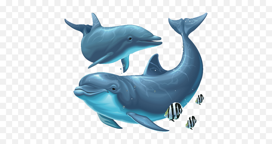 Dolphin Png Transparent Images - Dolphin Png Emoji,Dolphin Emotions