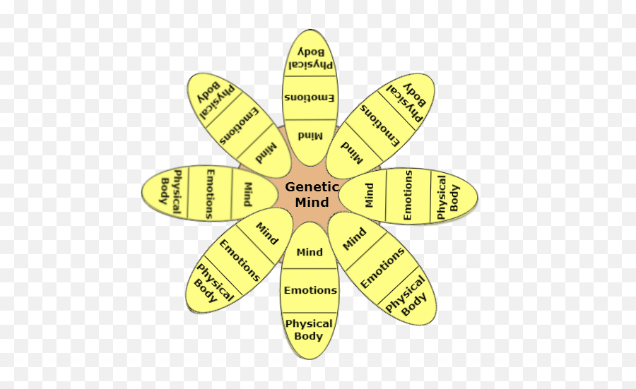 Wingmakersblogeng The Individuated Consciousness Emoji,Soul Mind Will Emotions Conscience